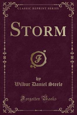 Book cover for Storm (Classic Reprint)