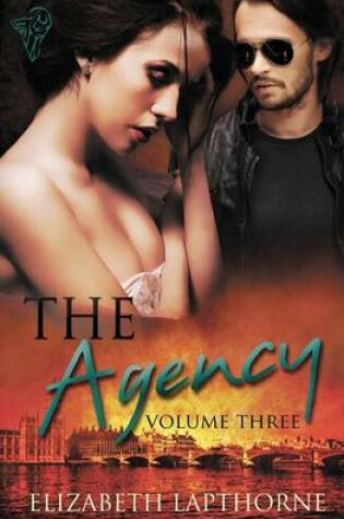 Cover of The Agency Volume Three