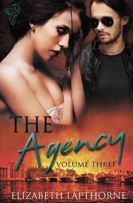 Book cover for The Agency Volume Three