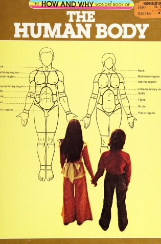 Cover of Hw Human Body
