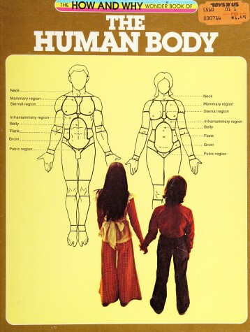 Book cover for Hw Human Body