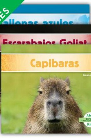 Cover of Especies Extraordinarias Set 1 (Super Species) (Set)