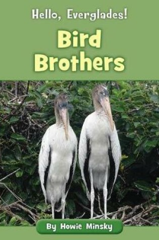 Cover of Bird Brothers