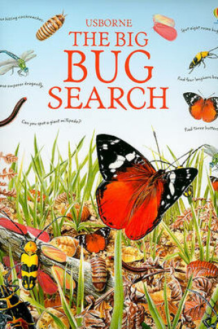 Cover of The Big Bug Search