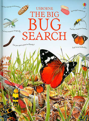 Cover of The Big Bug Search