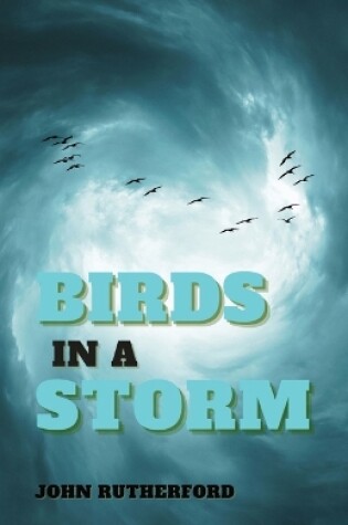 Cover of Birds in a Storm