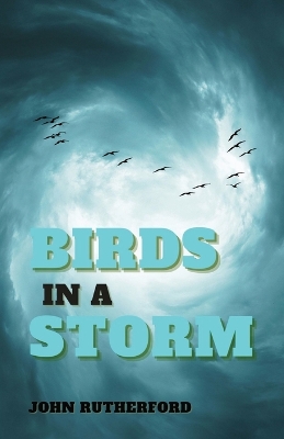 Book cover for Birds in a Storm