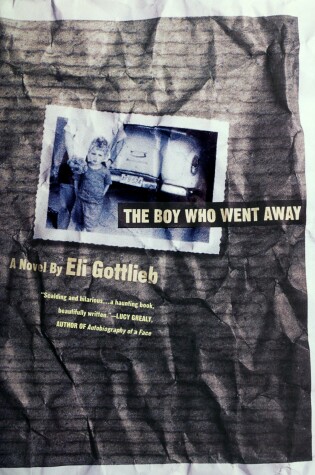 Cover of The Boy Who Went away