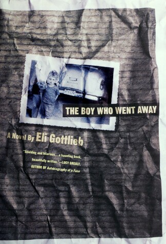 Book cover for The Boy Who Went away