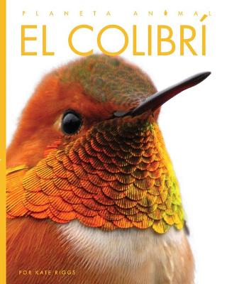 Book cover for El Colibrí