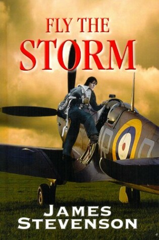 Cover of Fly The Storm