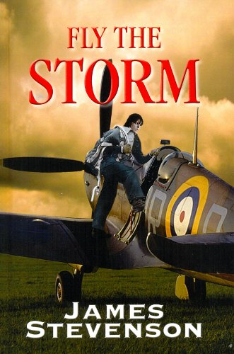 Book cover for Fly The Storm