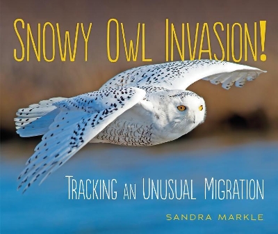 Book cover for Snowy Owl Invasion!