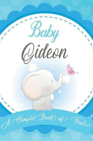 Cover of Baby Gideon A Simple Book of Firsts