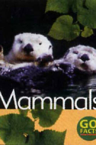 Cover of Animals Mixed Booster Pack