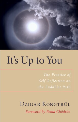 Book cover for It's Up to You