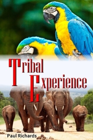 Cover of Tribal Experience