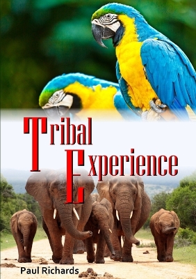 Book cover for Tribal Experience