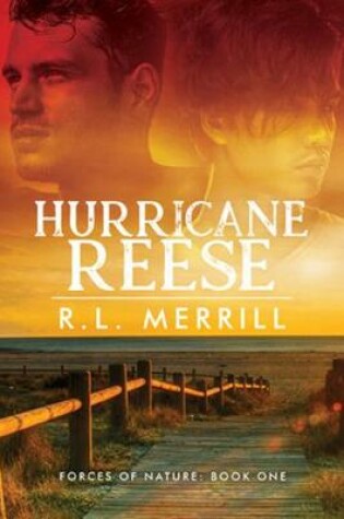 Cover of Hurricane Reese Volume 1