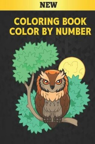 Cover of Coloring Book Color by Number New