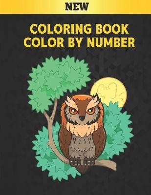 Book cover for Coloring Book Color by Number New
