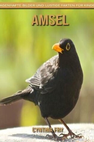 Cover of Amsel