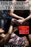 Book cover for His Indecent Training