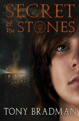 Book cover for Secret of the Stones