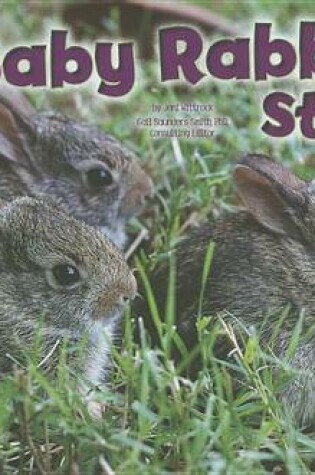 Cover of A Baby Rabbit Story