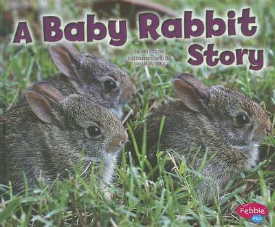 Book cover for A Baby Rabbit Story