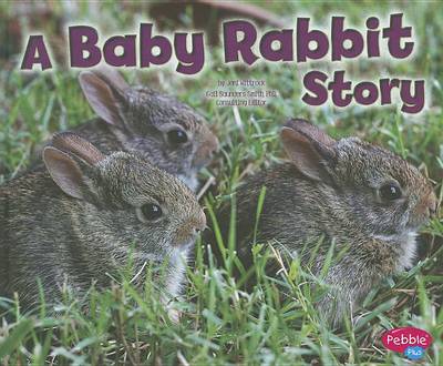 Cover of A Baby Rabbit Story