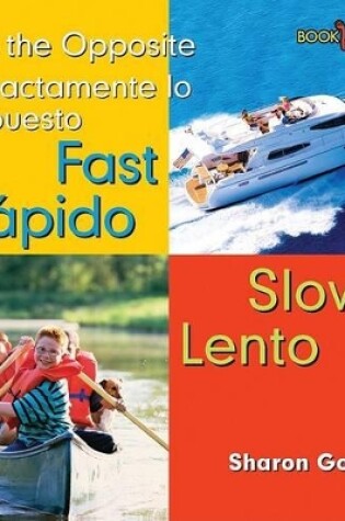 Cover of Rapido, Lento / Fast, Slow