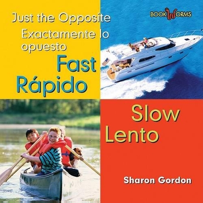 Book cover for Rapido, Lento / Fast, Slow