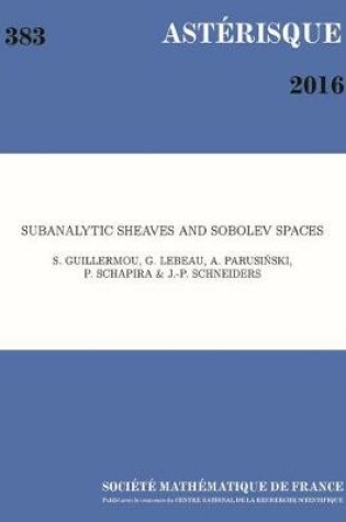 Cover of Subanalytic Sheaves and Sobolev Spaces