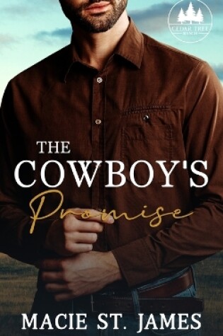 Cover of The Cowboy's Promise