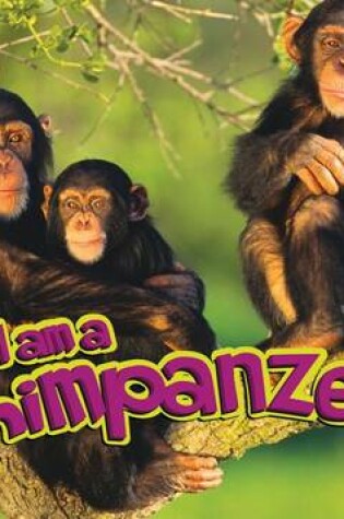 Cover of I Am a Chimpanzee