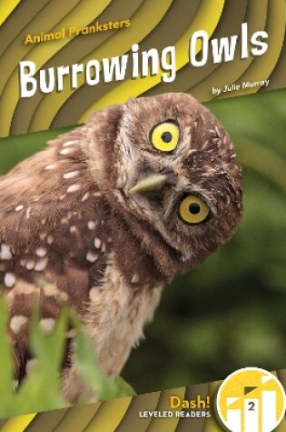 Cover of Burrowing Owls