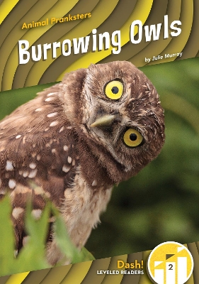 Book cover for Animal Pranksters: Burrowing Owls