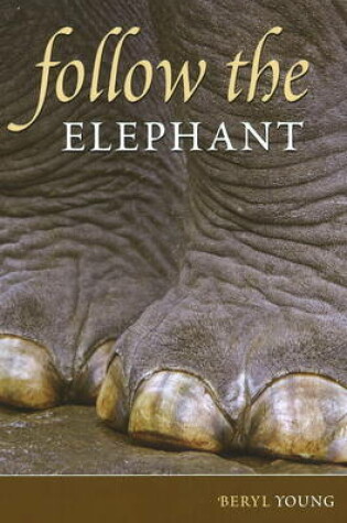 Cover of Follow the Elephant