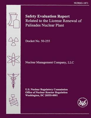 Book cover for Safety Evaluation Report Related to the License Renewal of Palisades Nuclear Plant