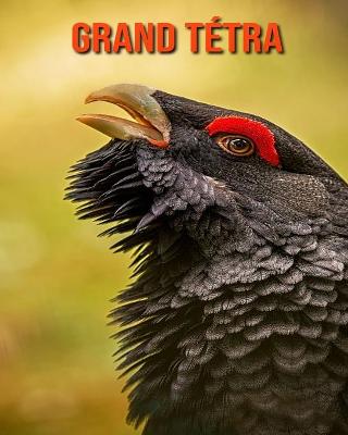 Book cover for Grand Tétra