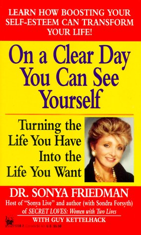 Book cover for On a Clear Day You Can See Yourself