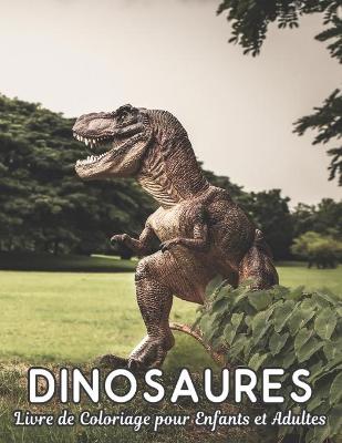 Book cover for Dinosaures Livre de Coloriage pour Adultes et Enfants