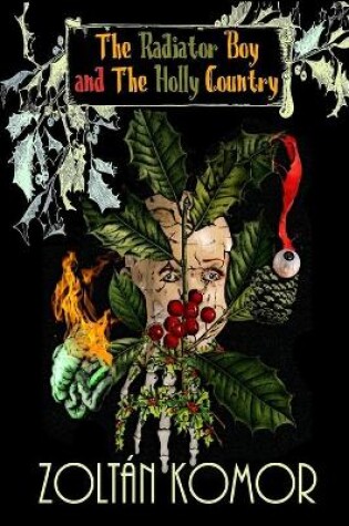 Cover of The Radiator Boy and The Holly Country