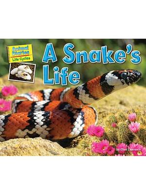 Book cover for A Snake's Life