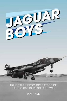Book cover for Jaguar Boys