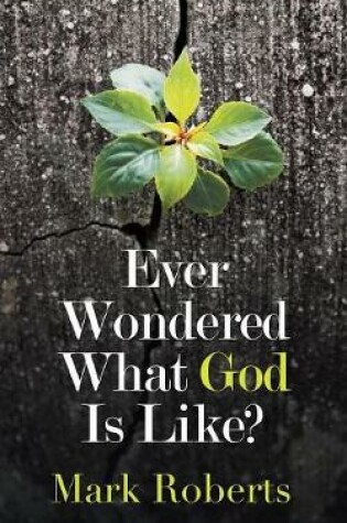 Cover of Ever Wondered What God Is Like?