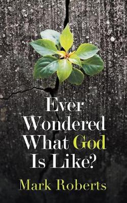 Book cover for Ever Wondered What God Is Like?