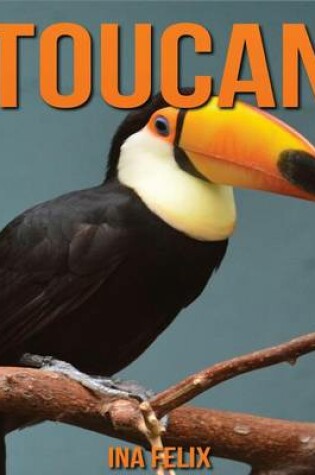 Cover of Toucan