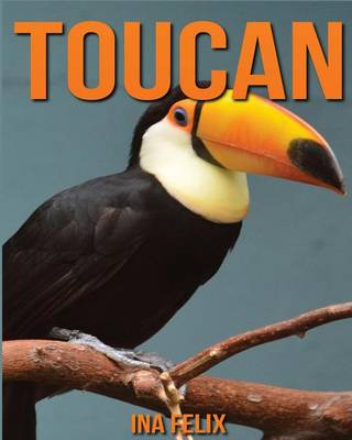 Book cover for Toucan